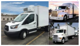 Vanguard distribution semi trucks